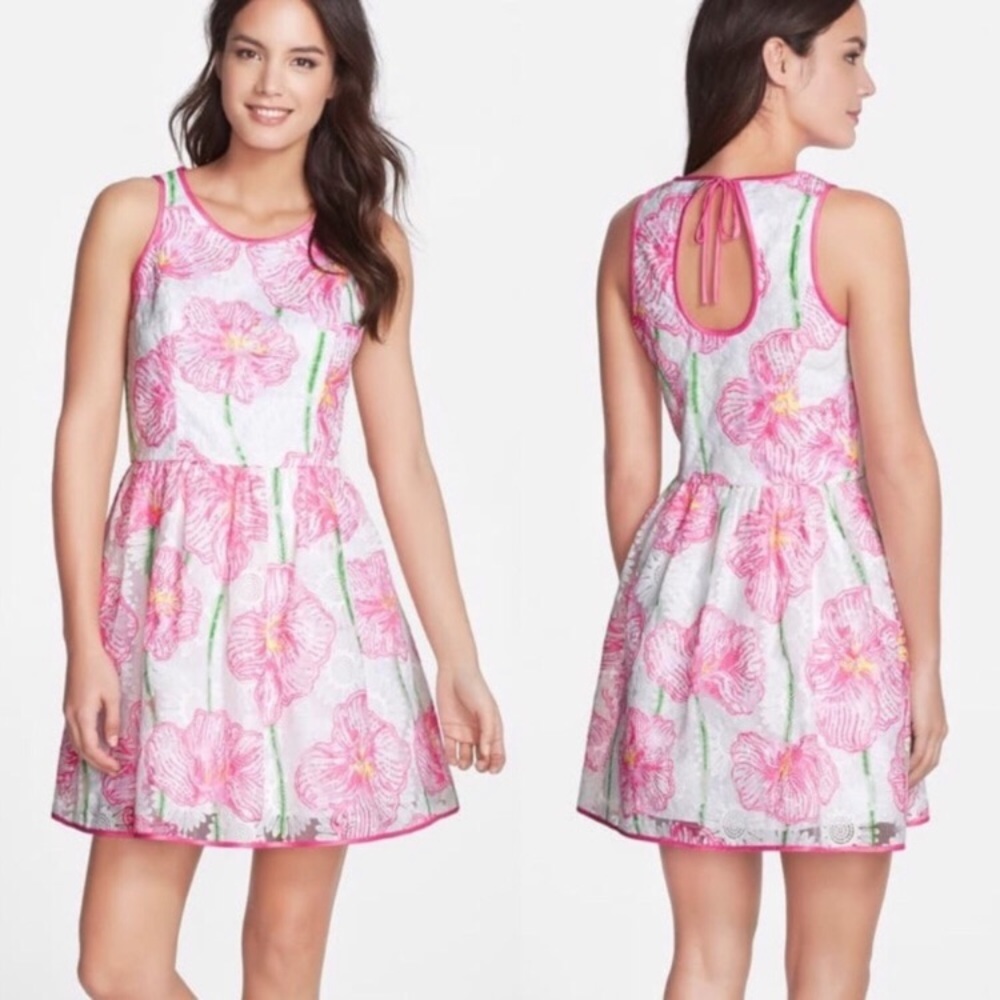 Lilly Pulitzer Darcelle Floral Embroidered Dress